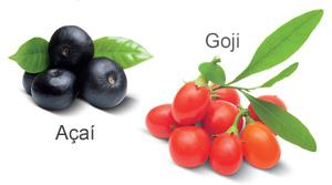 acai-ojon